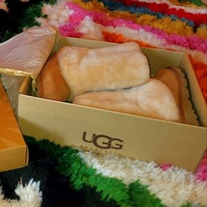 Ugg suede Maylin Size 7 NWT, never worn only tried on. Shipped in original box.